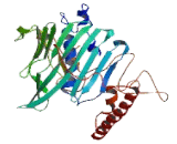 Oxysterol Binding Protein Like Protein 2 (OSBPL2)