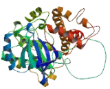 PAN3 Poly A Specific Ribonuclease Subunit Homolog (PAN3)