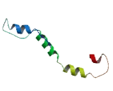 PAS Domain Containing Protein 1 (PASD1)