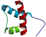 PBX/Knotted 1 Homeobox Protein 1 (PKNOX1)