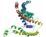 PHD Finger Protein 14 (PHF14)