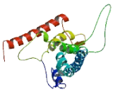 PQ Loop Repeat Containing Protein 2 (PQLC2)