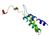 PQ Loop Repeat Containing Protein 3 (PQLC3)