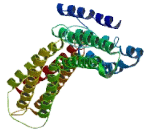 PWWP Domain Containing Protein 2A (PWWP2A)
