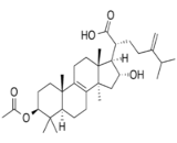 Pachymic Acid (PA)