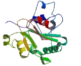 Parkinson Disease 7 Domain Containing Protein 1 (PDDC1)