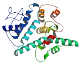 Patched Domain Containing Protein 1 (PTCHD1)