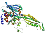 Peptidase M20 Domain Containing Protein 1 (PM20D1)