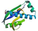 Peptidyl tRNA Hydrolase 2 (PTRH2)