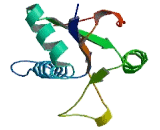 Peptidyl tRNA Hydrolase Domain Containing Protein 1 (PTRHD1)