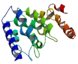 Peroxisomal Membrane Protein 4 (PXMP4)
