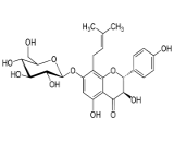 Phellamurin (Phe)