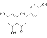 Phloretin (Phl)
