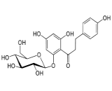 Phlorizin (PZ)