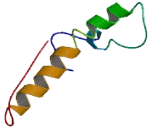 Phosphatidic Acid Phosphatase Type 2 Domain Containing Protein 1A (PPAPDC1A)