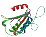 Phosphatidylglycerophosphate Synthase 1 (PGS1)