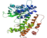 Phosphatidylinositol-4-Kinase Catalytic Alpha (PI4Ka)