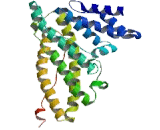 Phosphatidylinositol Binding Clathrin Assembly Protein (PICALM)
