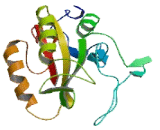 Phosphatidylinositol Specific Phospholipase C, X Domain Containing Protein 1 (PLCXD1)