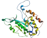 Phosphatidylinositol Specific Phospholipase C, X Domain Containing Protein 2 (PLCXD2)