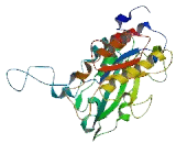 Phosphatidylinositol Specific Phospholipase C, X Domain Containing Protein 3 (PLCXD3)