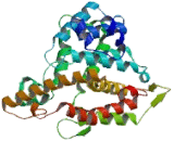 Phosphodiesterase 8A (PDE8A)
