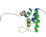Phosphorylated Adapter RNA Export Protein (PHAX)