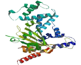 Pleckstrin And Sec7 Domain Containing Protein 3 (PSD3)