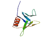 Pleckstrin Homology Domain Containing Family J, Member 1 (PLEKHJ1)