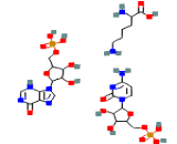 Polyinosinic:Polycytidylic Acid (poly I:C)