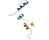 Polymerase DNA Directed Delta 4 (POLd4)