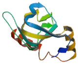 Popeye Domain Containing Protein 2 (POPDC2)