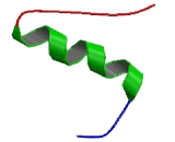 Potassium Channel Tetramerisation Domain Containing Protein 11 (KCTD11)