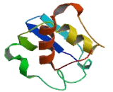 Potassium Channel Tetramerisation Domain Containing Protein 12 (KCTD12)