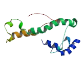 Potassium Voltage Gated Channel Isk Related Family, Member 1 Like Protein (KCNE1L)