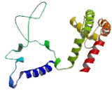 Potassium Voltage Gated Channel Subfamily F, Member 1 (KCNF1)
