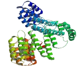 Pre-mRNA Processing Factor 39 (PRPF39)