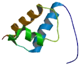 Pre-mRNA Processing Factor 40B (PRPF40B)