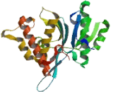 Pre-mRNA Processing Factor 8 (PRPF8)