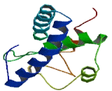 Presenilins Associated Rhomboid Like Protein (PARL)