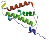 Proline Rich Transmembrane Protein 3 (PRRT3)