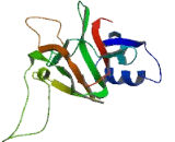 Prolyl-4-Hydroxylase, Transmembrane (P4HTM)