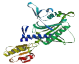 Prolyl tRNA Synthetase 2, Mitochondrial (PARS2)