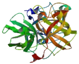 Protease, Serine 53 (PRSS53)