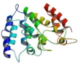 Proteasome Assembly Chaperone 1 (PSMG1)