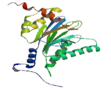 Proteasome Subunit Alpha Type 7 (PSMa7)