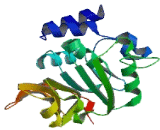 Protein L-Isoaspartate-O-Methyltransferase Domain Containing Protein 2 (PCMTD2)