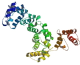 Protein Phosphatase 6, Regulatory Subunit 3 (PPP6R3)