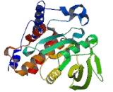 Protein Tyrosine Phosphatase, Non Receptor Type 18 (PTPN18)