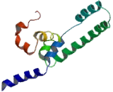Protein Tyrosine Phosphatase F Interacting Protein 3 (PPFIA3)